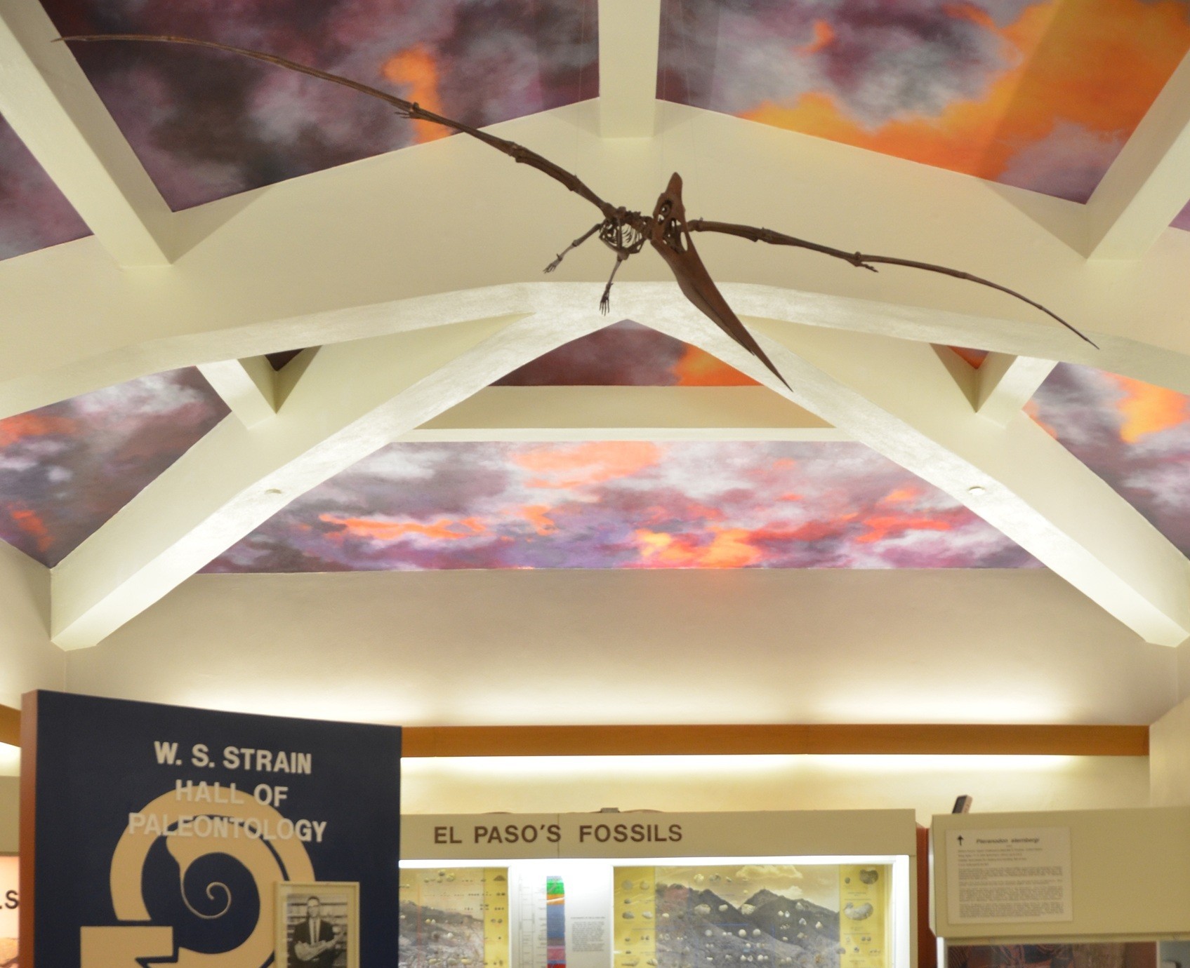 Two people looking at exhibit
