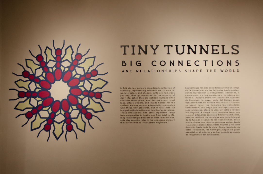 Tiny Tunnels intro text