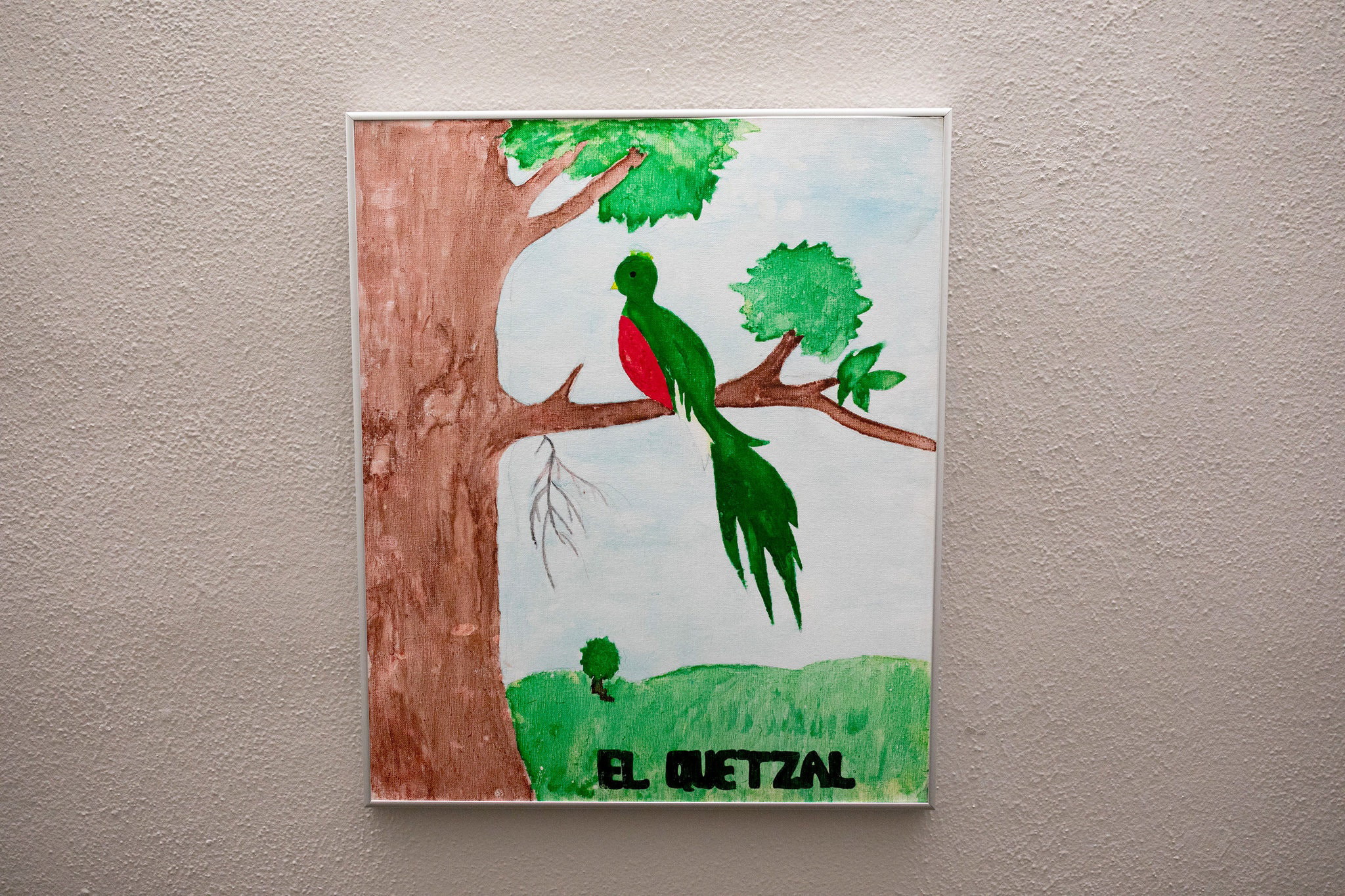As part of a social studies project, children were asked to commemorate their native cultures. The quetzal is the national bird of Guatemala and a symbol of freedom. Photo by Ivan Pierre Aguirre