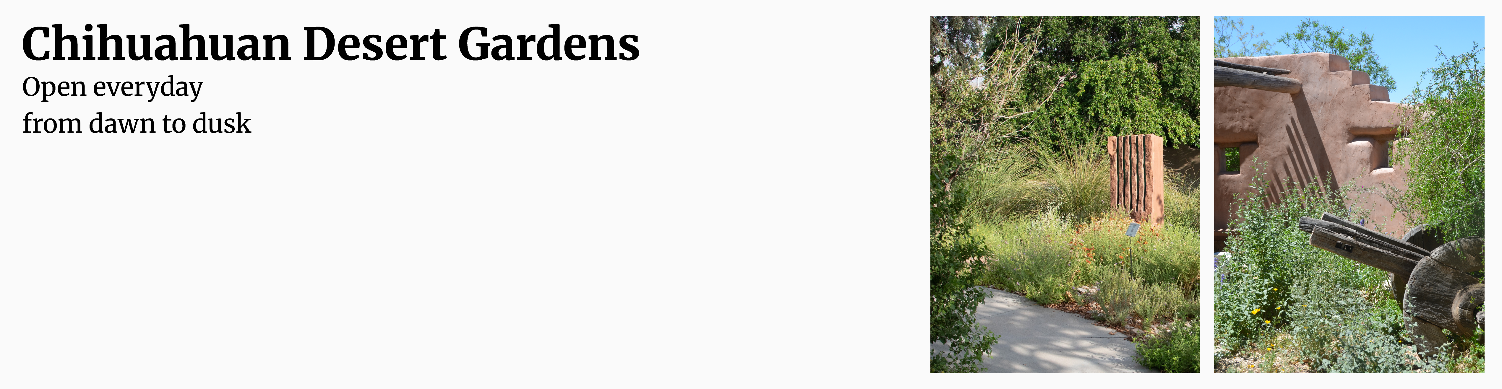 Garden Hours: Dawn to Dusk 