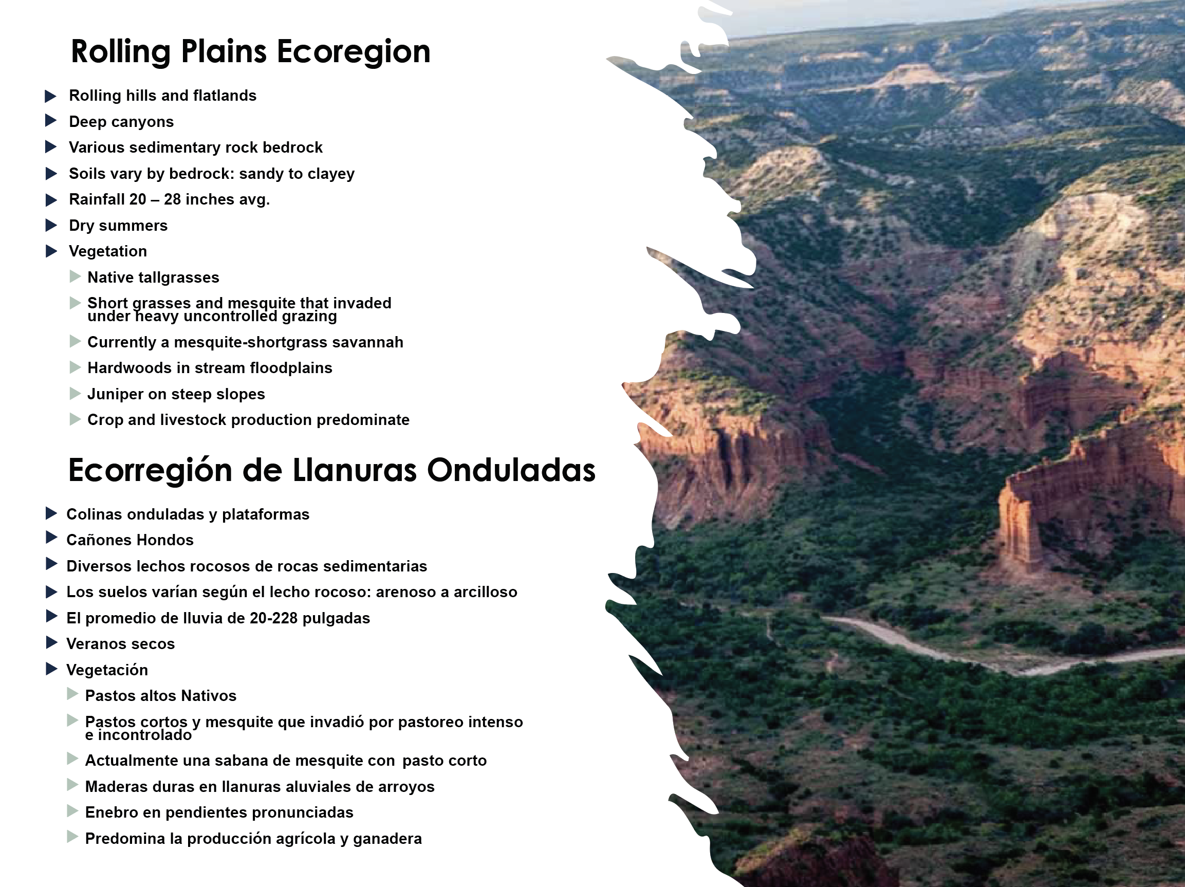 Rolling-Plains-panel-image.png