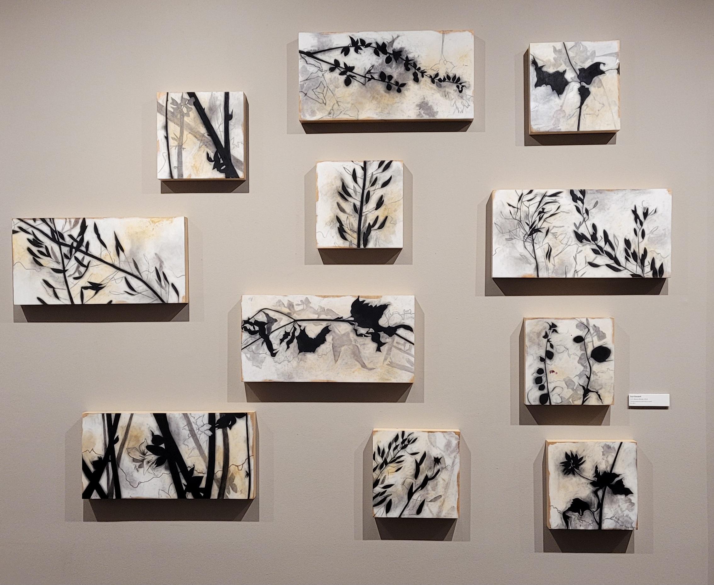 US Mexico Border, 2018