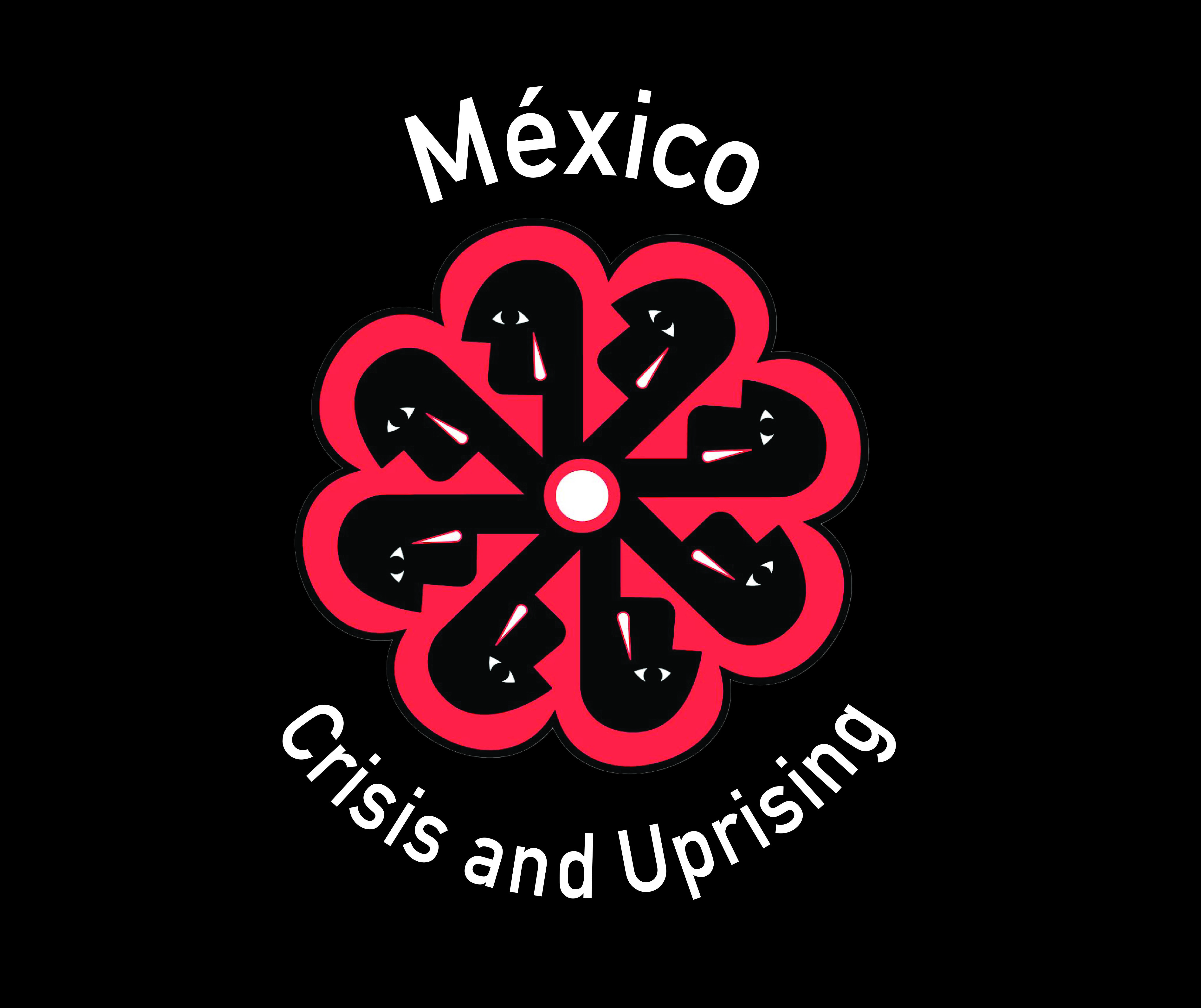 Mex-crisis-website-image.jpg