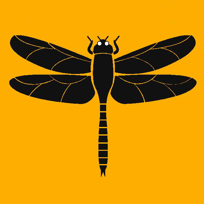 dragonfly2.jpg