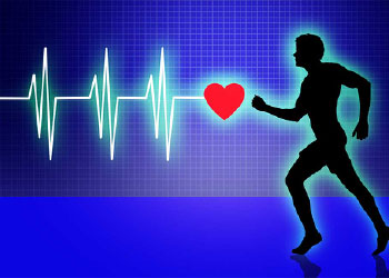 Cardiovascular and Exercise Science