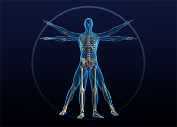 Motor Function and Rehabilitation Sciences