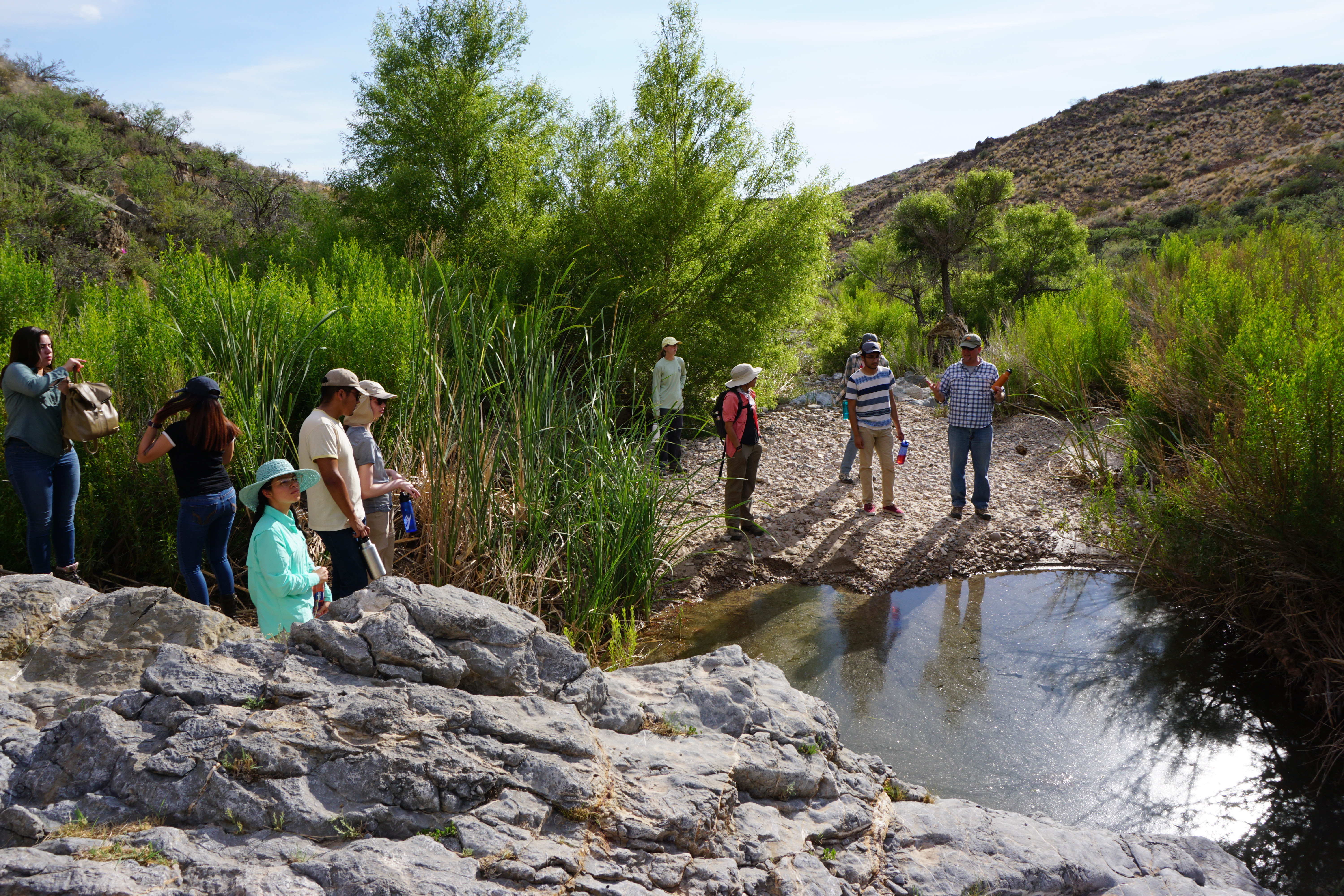 Students gathered around a pond in the field listening to faculty researcher.