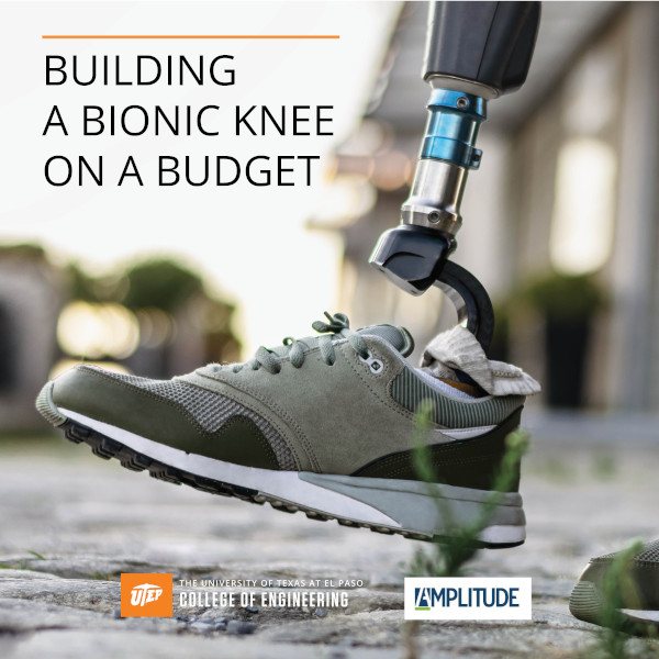 Building a Bionic Knee on a Budget