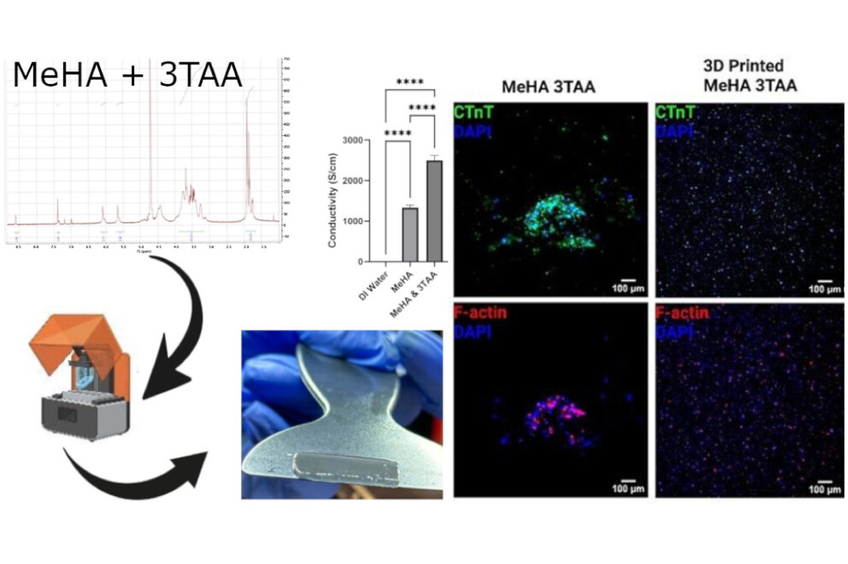 Publication in ACS Omega