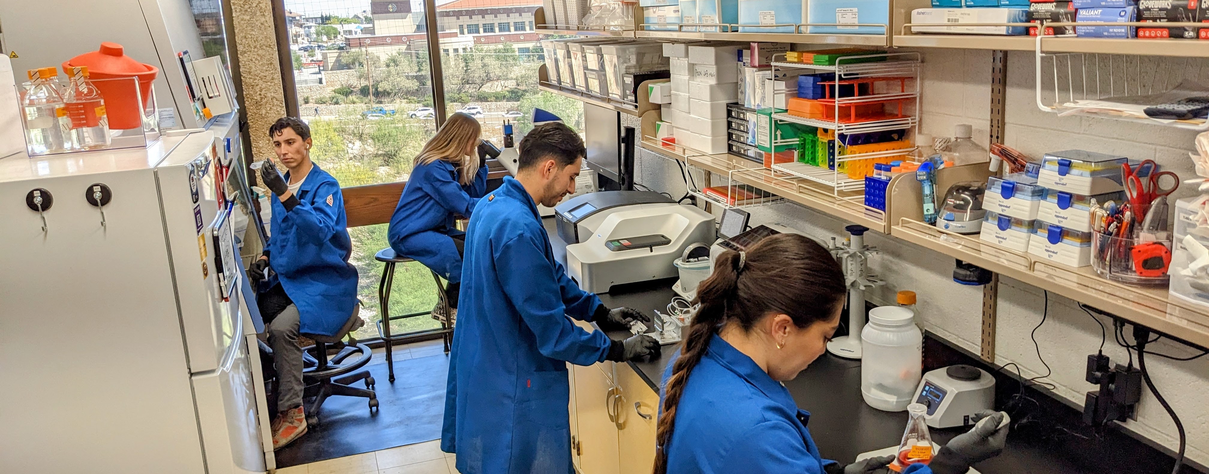 Delivery Systems and Nano-Therapeutics Innovation Laboratory