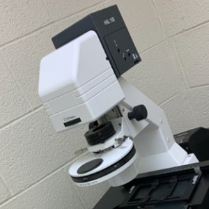 Zeiss Axio Observer.A1 Fluorescence Microscope