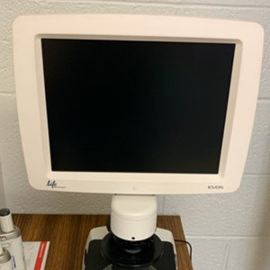 Compound microscope EVOS
