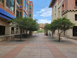 Open-air courtyard between two campus buildings featuring paved walkways, benches, and rows of small trees, with a clear blue sky visible above.