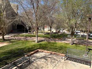 Engineering Lawn