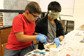 Science and Engineering Kids Camp at UTEP P3