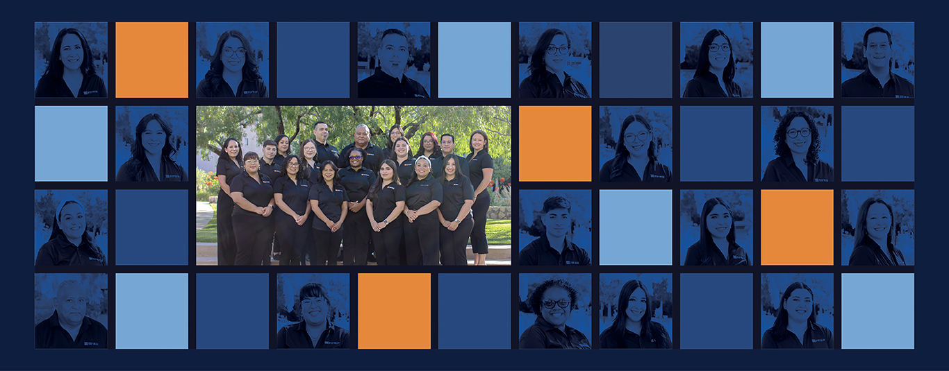 Why we love working at UTEP Online 