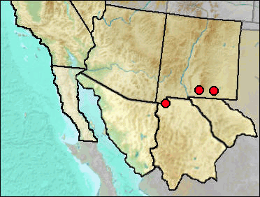 Regional distribution of fossil Aspidoscelis (tigris size)