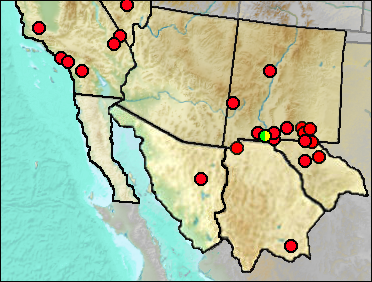 Regional Pleistocene distribution of Lynx rufus