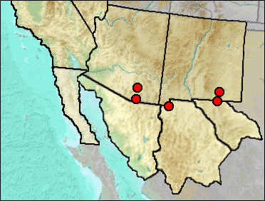 Pleistocene distribution of Myotis sp. (small)