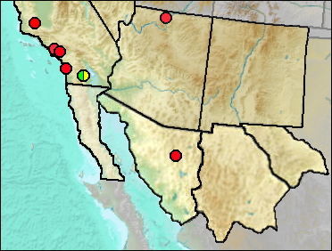 Regional Pleistocene distribution of Anas clypeata