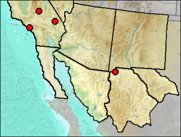 Pleistocene regional distribution of Fulica sp.