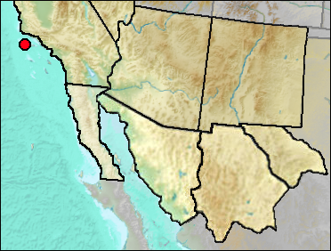 Pleistocene regional distribution of Larus sp. (large)