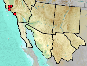 Regional distribution of Pleistocene Spizaetus grinnelli