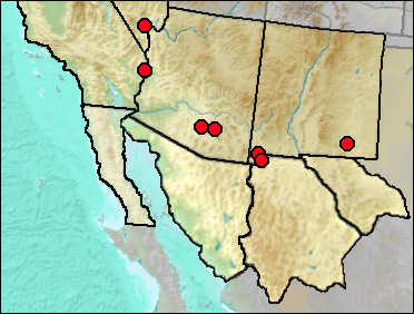 Regional Pleistocene distribution of Anaxyrus punctatus