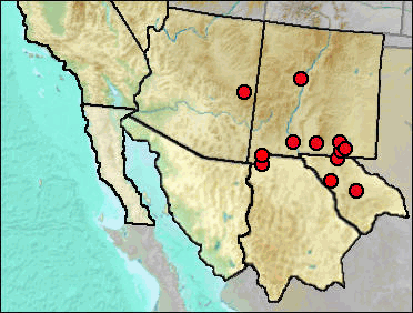 Regional Pleistocene distribution of Cynomys gunnisoni