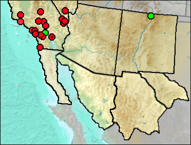 Regional Pleistocene distribution of Microtus californicus.