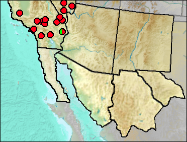Regional Pleistocene distribution of Neotoma lepida