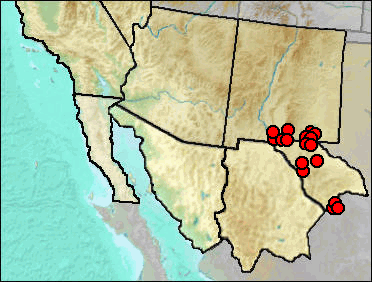 Pleistocene regional distribution of Neotoma leucodon.
