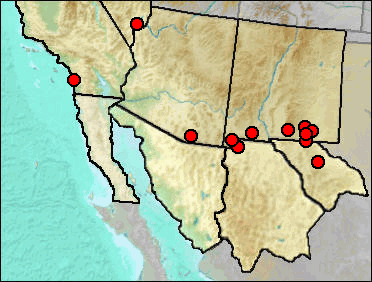 Regional Pleistocene distribution of Neotoma mexicana.