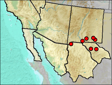 Regional Pleistocene distribution of Peromyscus nasutus.