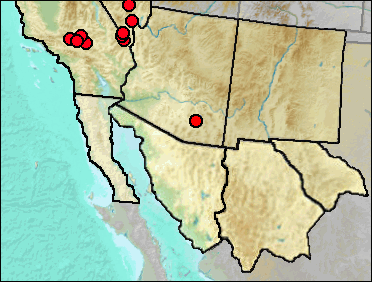 Regional Pleistocene distribution of Phrynosoma platyrhinos