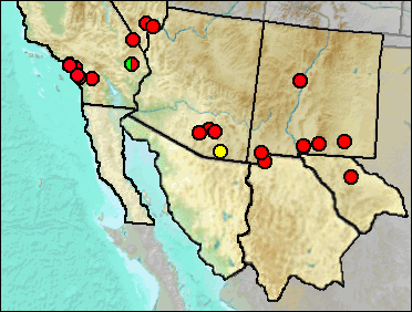 Distribution of  regional Pleistocene Pituophis catenifer