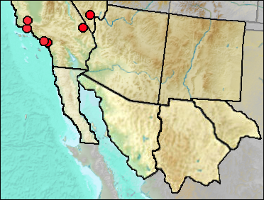 Regional Pleistocene distribution of Sceloporus occidentalis