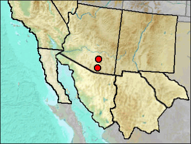 Regional Pleistocene distribution of Sigmodon arizonae.