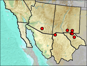 Pleistocene distribution of Sigmodon ochrognathus.