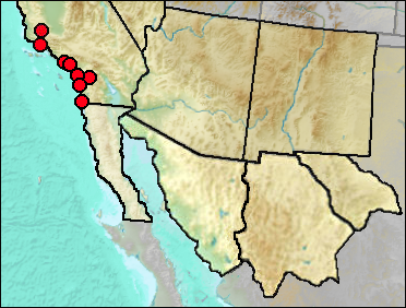 Regional Pleistocene distribution of Callipepla californica