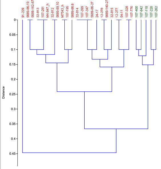 Cluster analysis of Sigmodon hispidus and S. ochrognathus