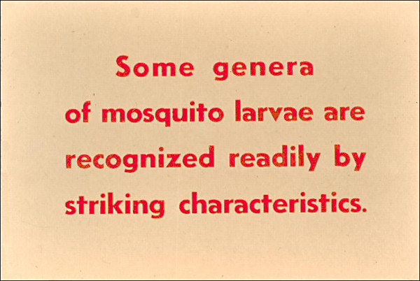 Striking characteristics label