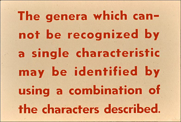 Label: The genera which cannot be recognized by a single characteristic may be identified by using a combination of the characters described