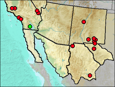 Regional Pleistocene distribution of Antilocapra americana