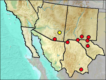 Pleistocene distribution of Aztlanolagus agilis.