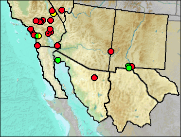 Regional Pleistocene distribution of Equus sp., Large