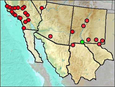 Regional Pleistocene distribution of Equus occidentalis