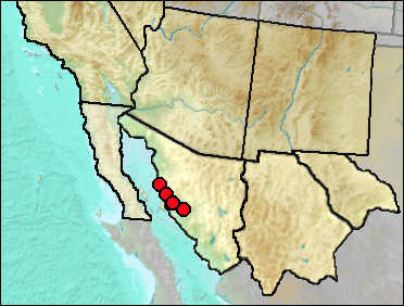 Distribution of fossil Gopherus/Hesperotestudo tortoises