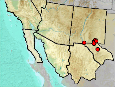 Reigonal Pleistocene distribution of Sorex neomexicanus.