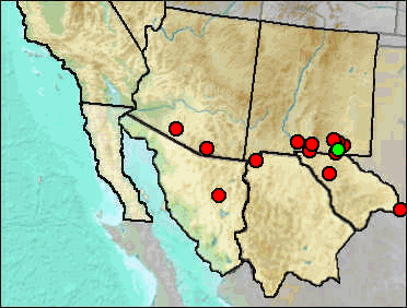Regional Pleistocene distribution of Stockoceros conklingi